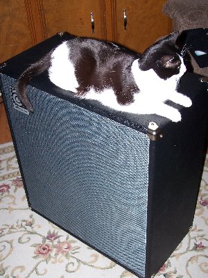 My cat Tommy loves the ample lounge space