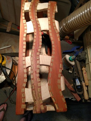 Vines all five sides.jpg