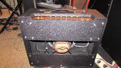 Dumble Fender 02.JPG